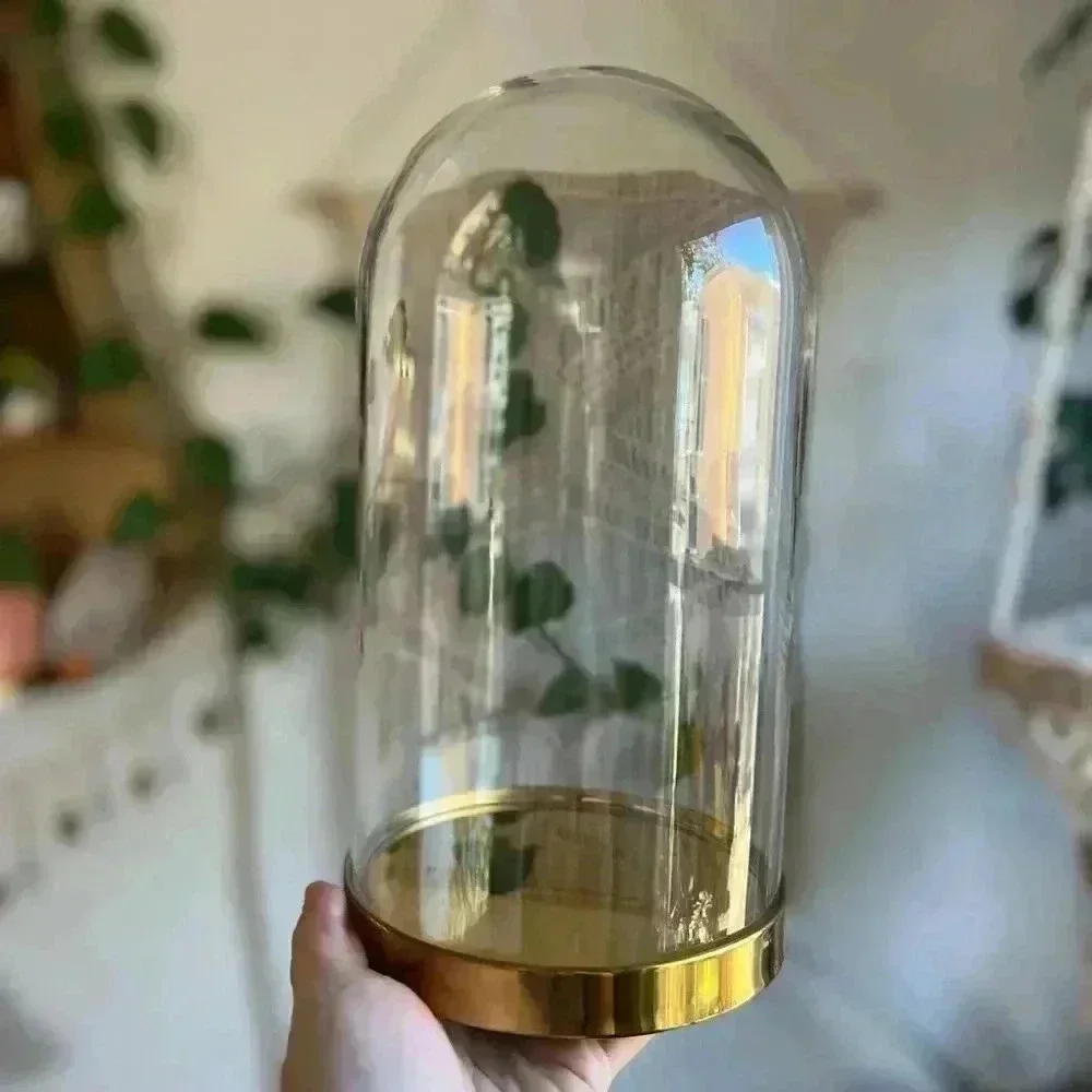 IKEA BEGÅVNING Glass Dome with Base – 10”